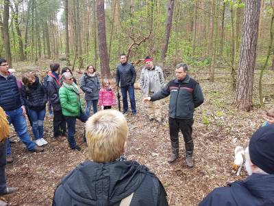 Waldspaziergang mit Revierfrster Frank Mosch am 29.04.2017