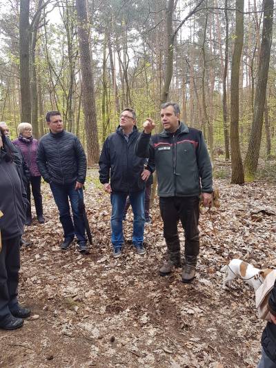 Waldspaziergang mit Revierfrster Frank Mosch am 29.04.2017